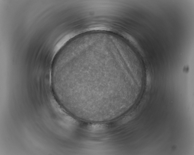 X0000112431274200909041427