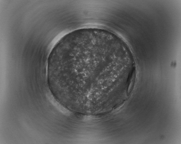 X0000112431275200909041427