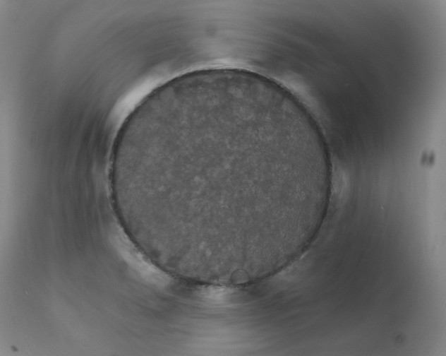 X0000112431278200909041427