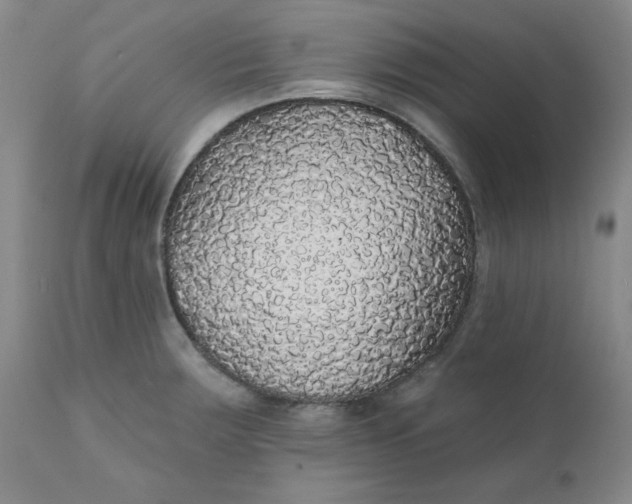 X0000112431283200909041427