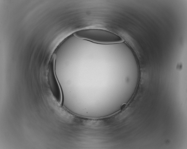 X0000112431284200909041427