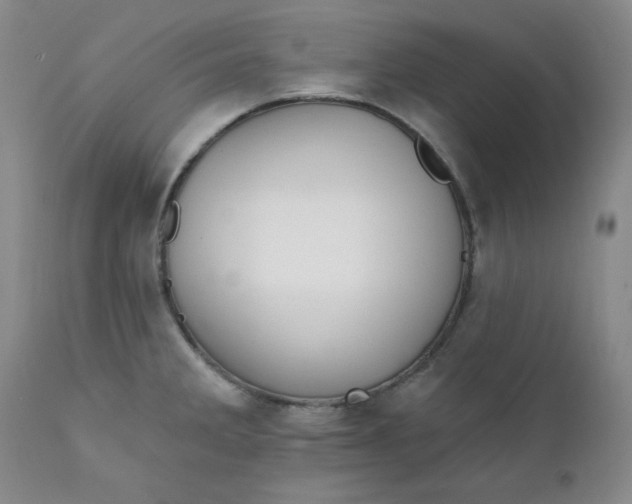 X0000112431285200909041427