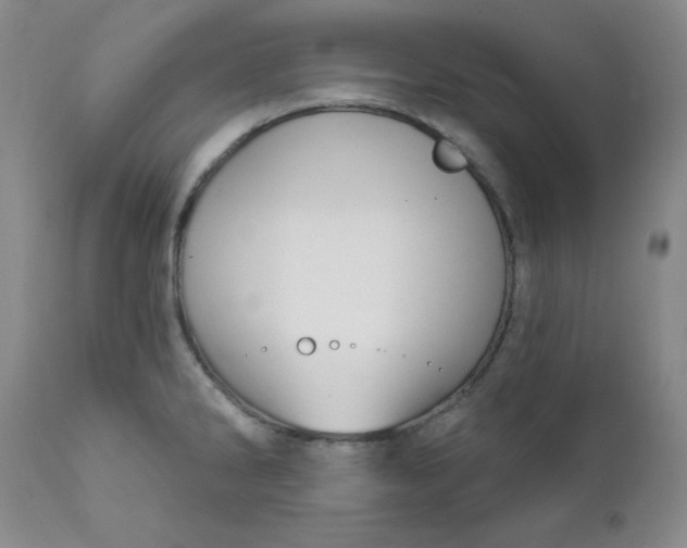 X0000112431286200909041427