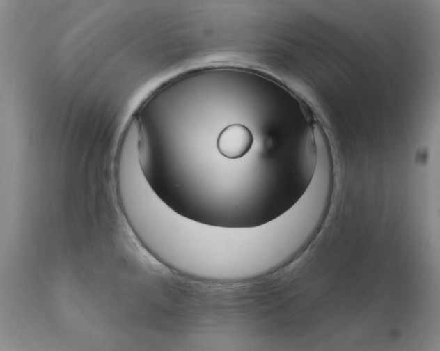 X0000112431288200909041427