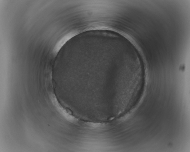 X0000112431289200909041427