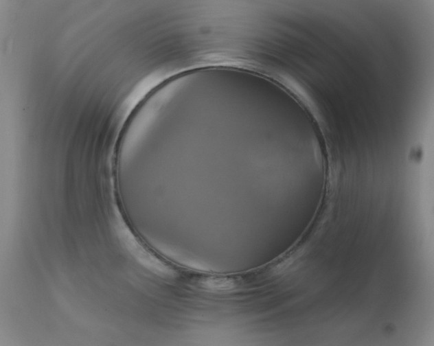 X0000112431291200909041427