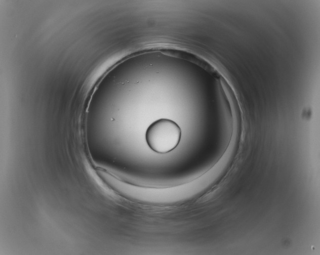 X0000112431293200909041427