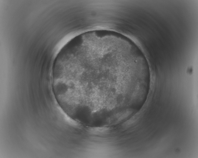 X0000112431294200909041427