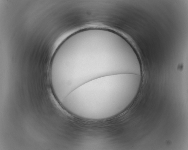 X0000112431295200909041427