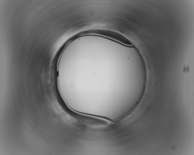 X0000112431296200909041427