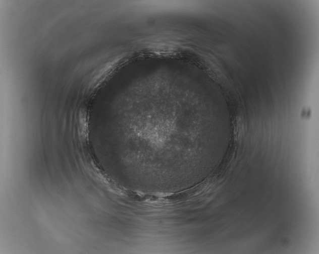 X0000112431298200909041426