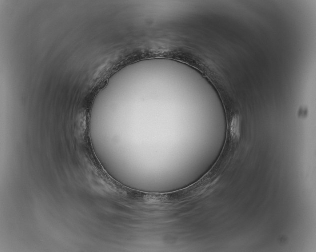 X0000112431299200909041426