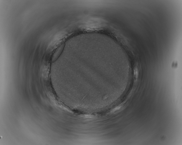 X0000112431300200909041426