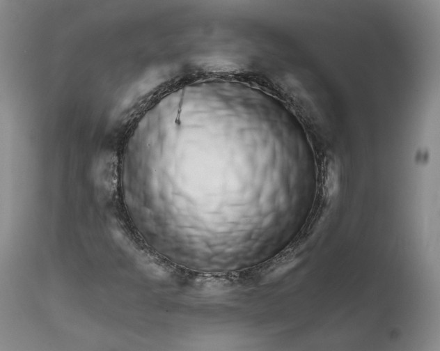 X0000112431301200909041426