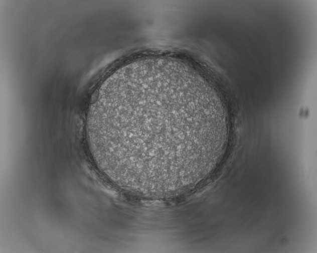 X0000112431302200909041426