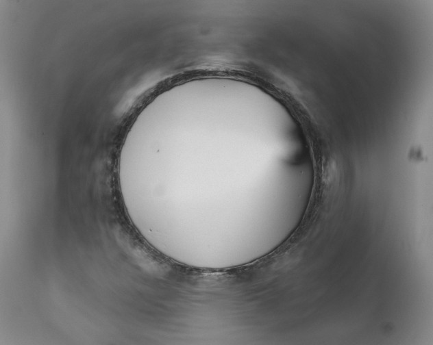 X0000112431304200909041426