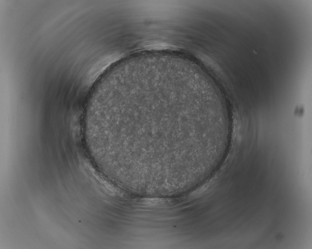 X0000112431305200909041426