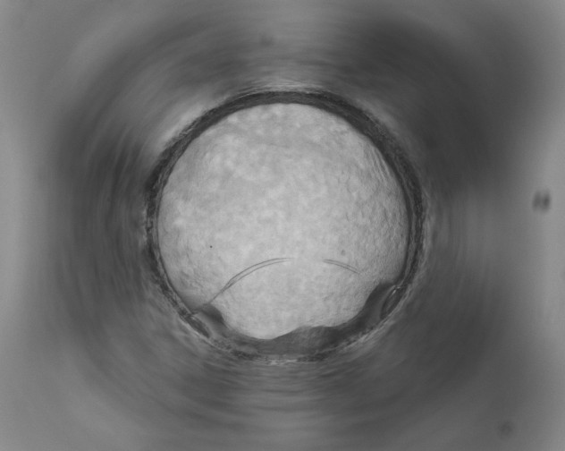 X0000112431306200909041426