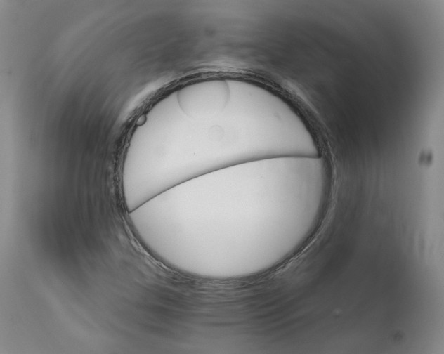 X0000112431307200909041426