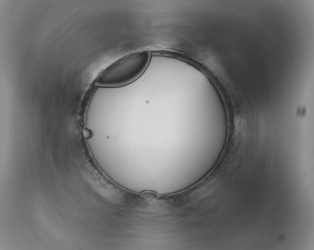 X0000112431308200909041426