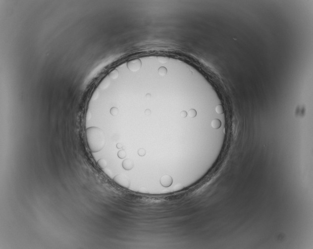 X0000112431309200909041426