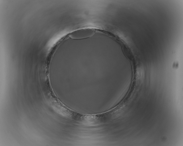 X0000112431310200909041426