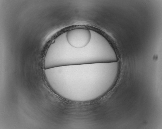 X0000112431311200909041427