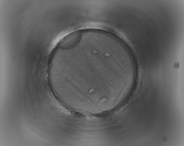 X0000112431312200909041427