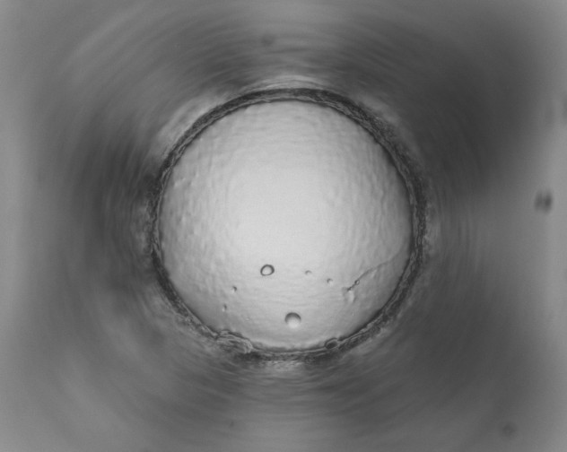 X0000112431313200909041427