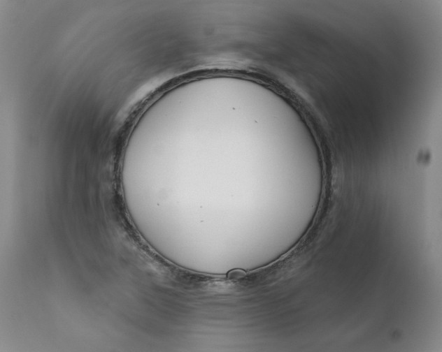 X0000112431315200909041427