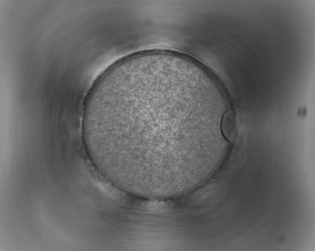 X0000112431316200909041427