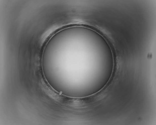 X0000112431318200909041427