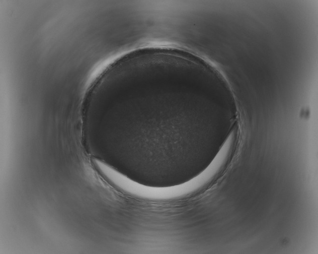 X0000112431319200909041427