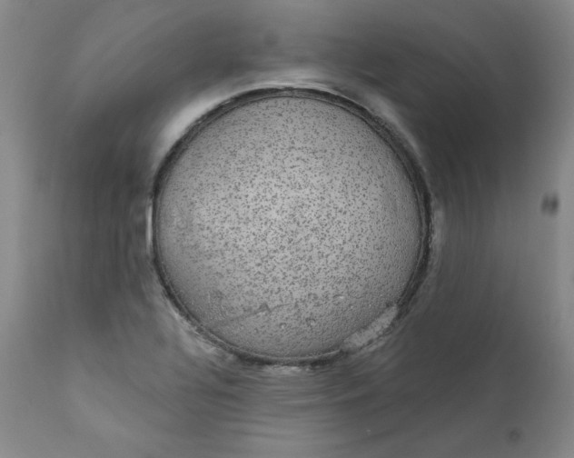 X0000112431320200909041427