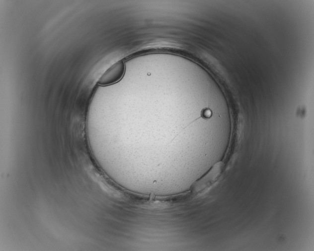 X0000112431321200909041427