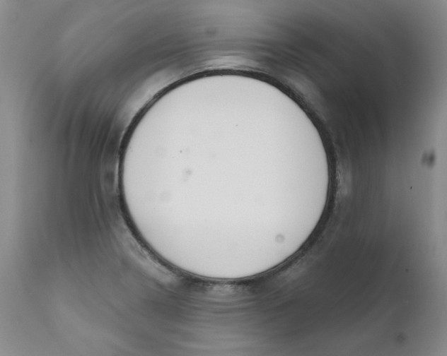 X0000112431322200909041427