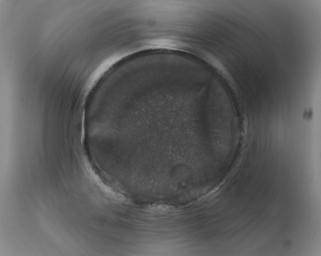 X0000112431323200909041427