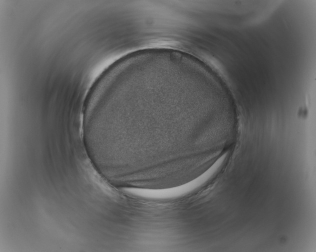 X0000112431324200909041427