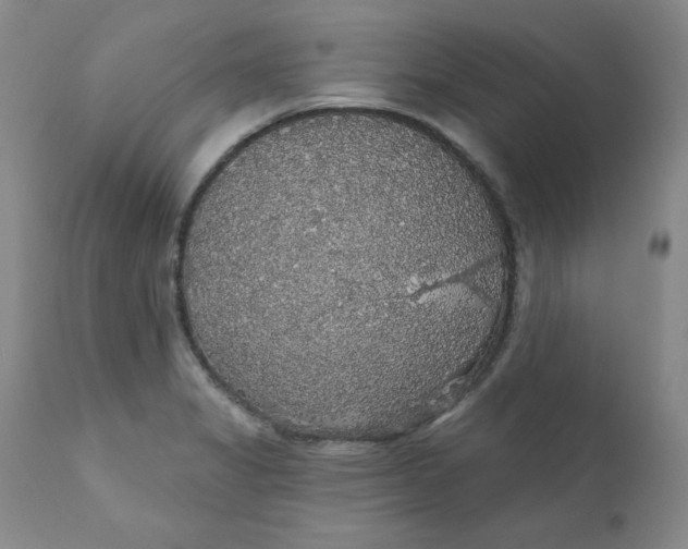 X0000112431325200909041427