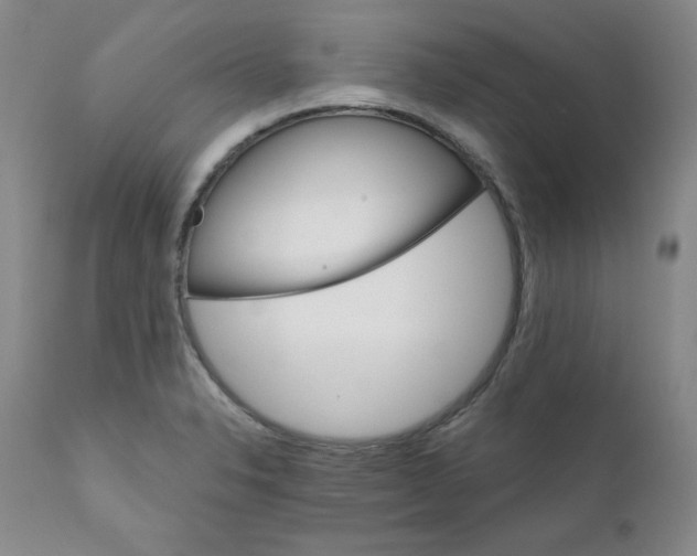 X0000112431326200909041427