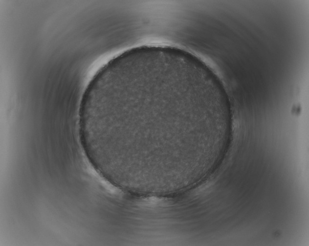 X0000112431327200909041427