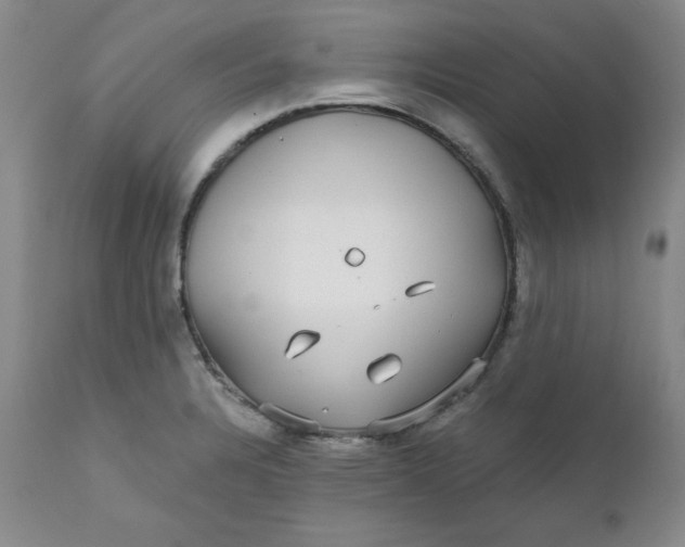 X0000112431328200909041427