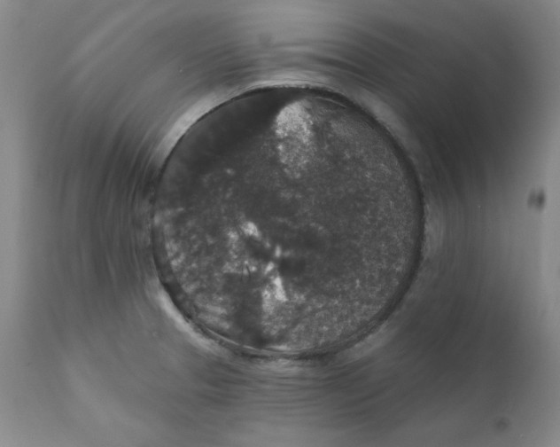 X0000112431329200909041427