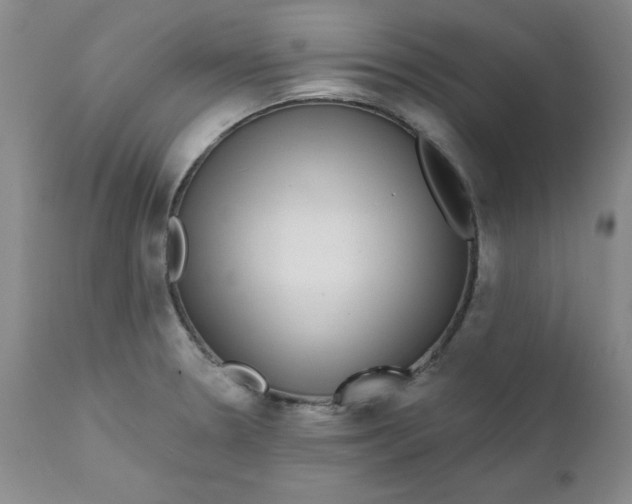 X0000112431330200909041427