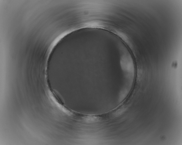 X0000112431331200909041427