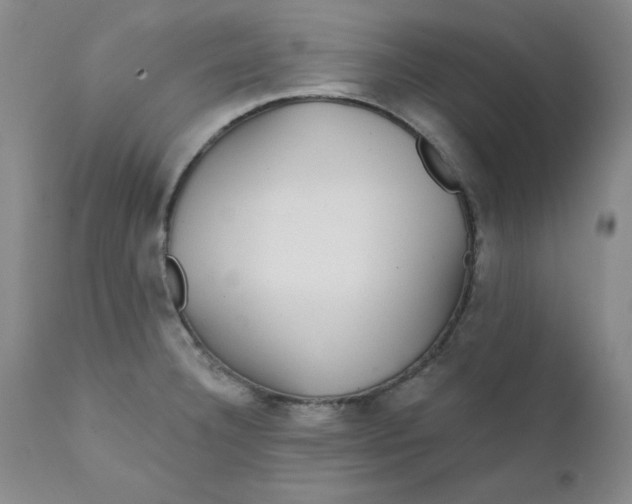 X0000112431332200909041427