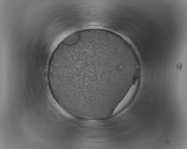 X0000112431333200909041427