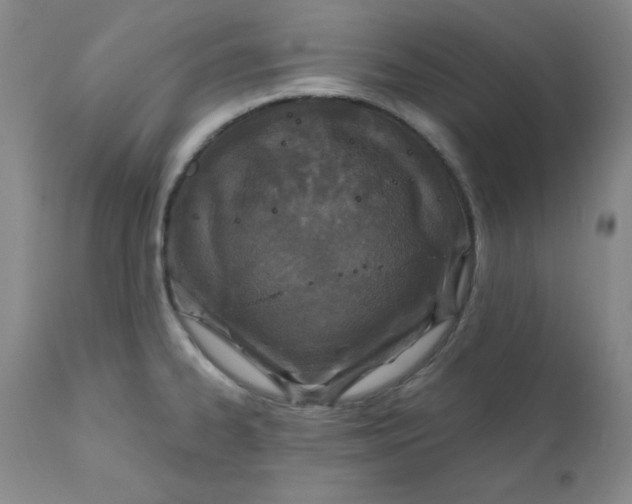 X0000112431334200909041427