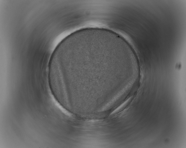 X0000112431335200909041427