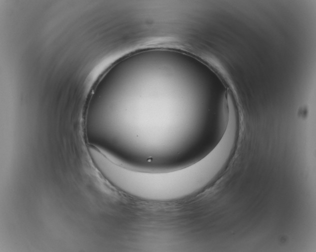 X0000112431336200909041427